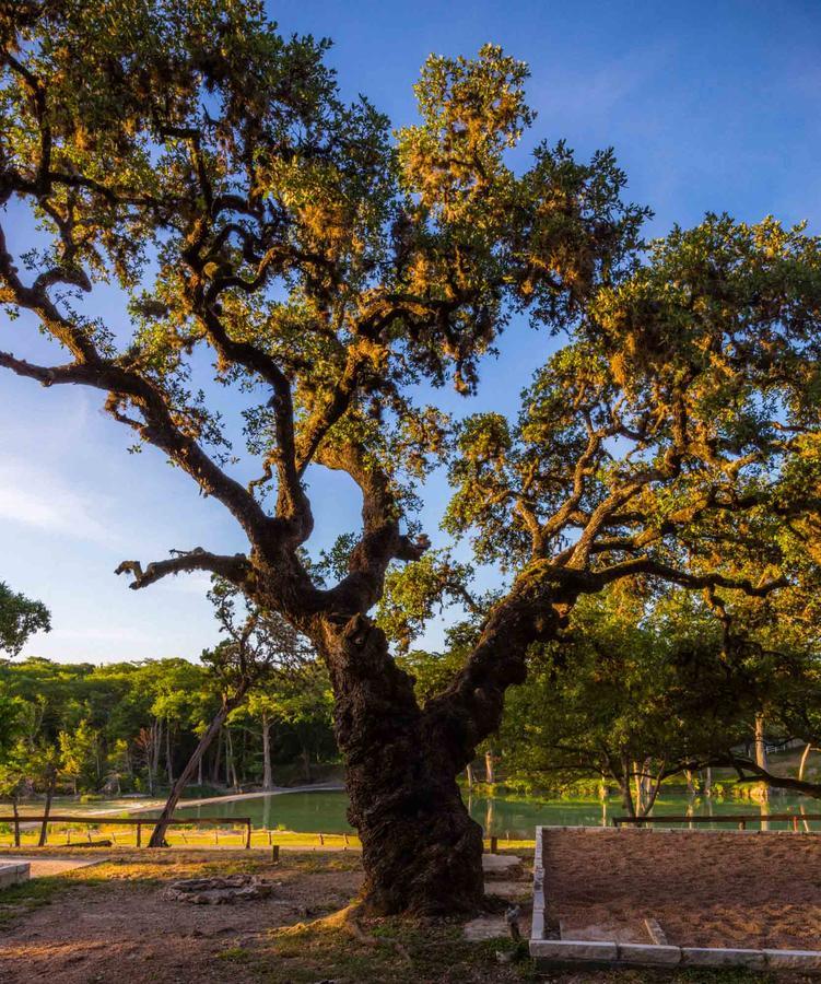 7A Ranch Hotel Wimberley Eksteriør billede